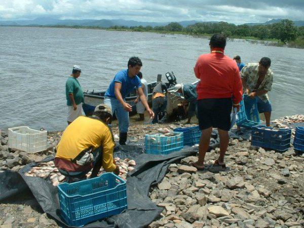 [:nl]Foto visvangst in Puerto Diaz bij Juigalpa[:]